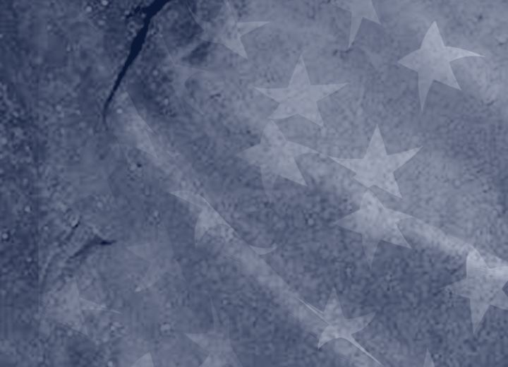 Stars of the American flag